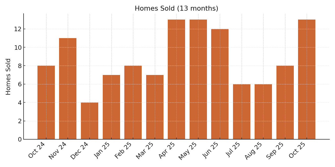 Homes Sold (13 months)